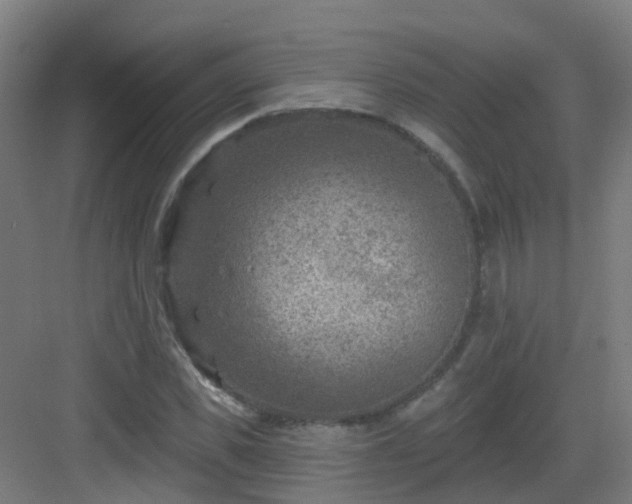 X0000082930925200702081537