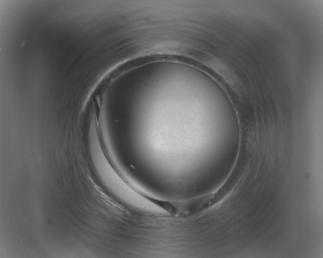 X0000082930926200702081537