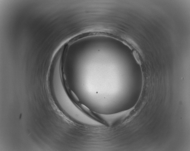 X0000082930928200702081537