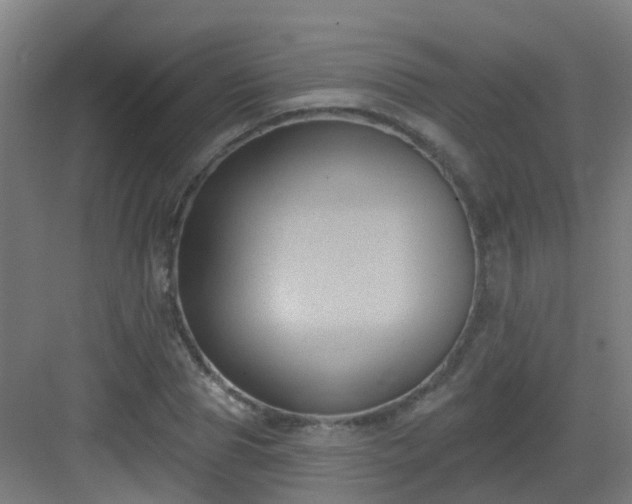 X0000082930929200702081537