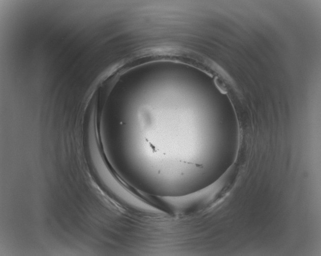 X0000082930930200702081537