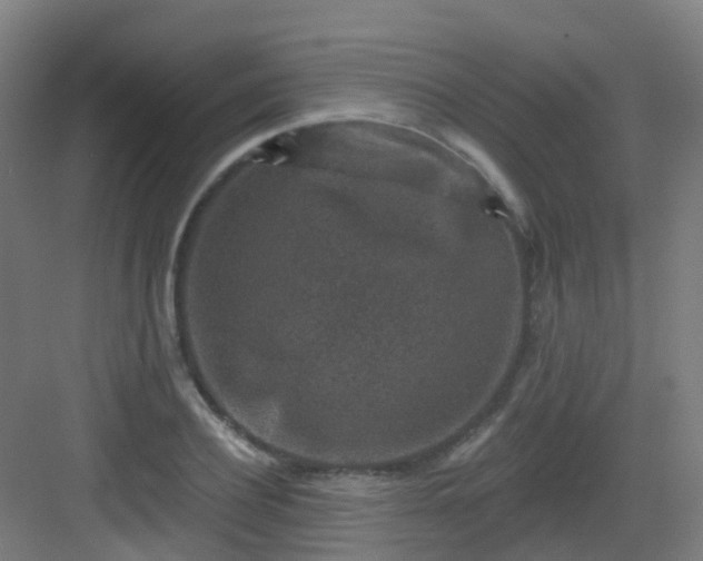 X0000082930932200702081537