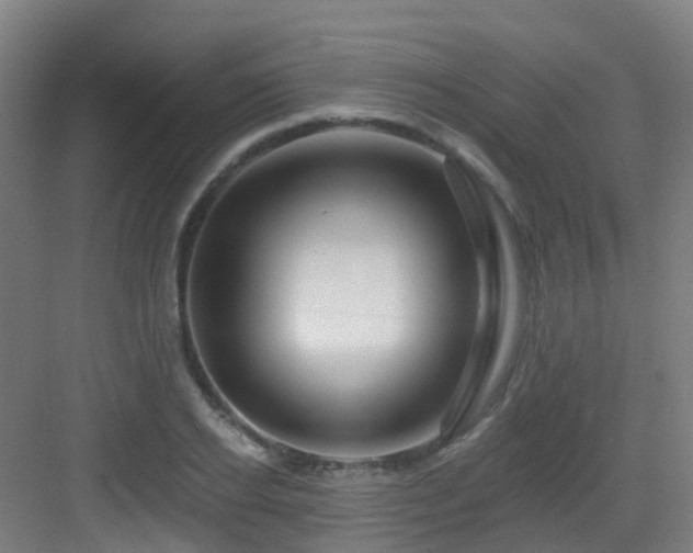 X0000082930934200702081537