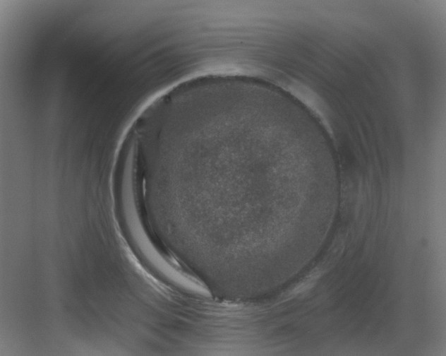 X0000082930935200702081537