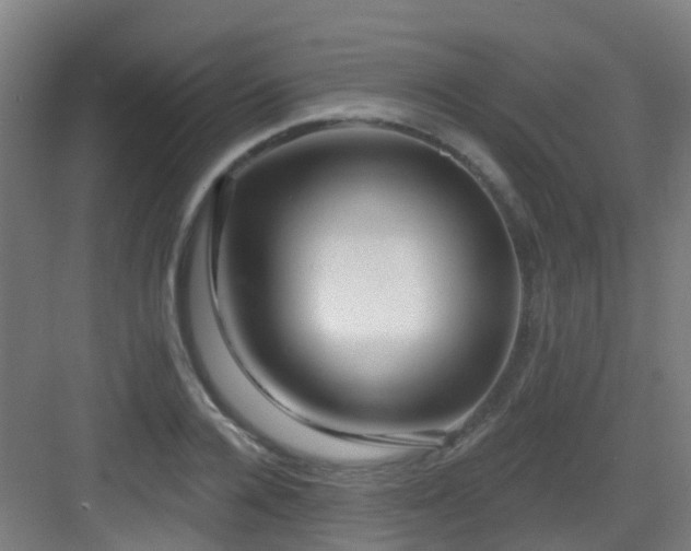 X0000082930936200702081537