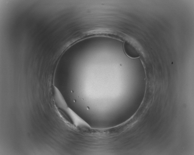 X0000082930937200702081537