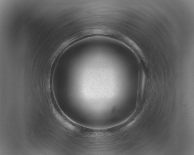 X0000082930938200702081537