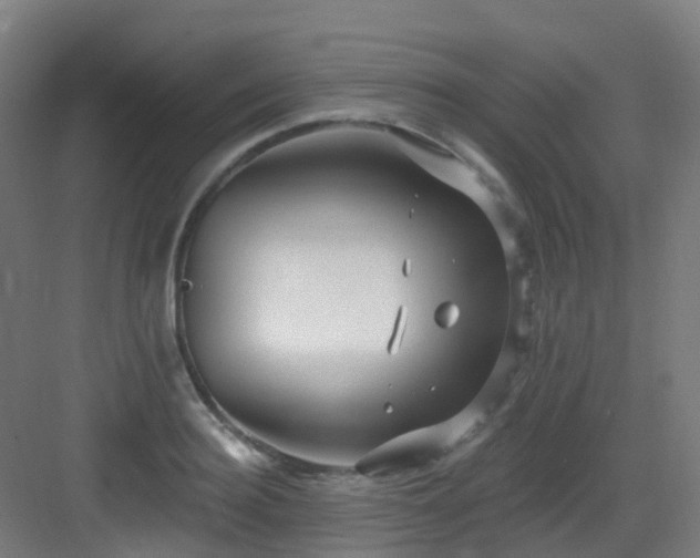 X0000082930940200702081537