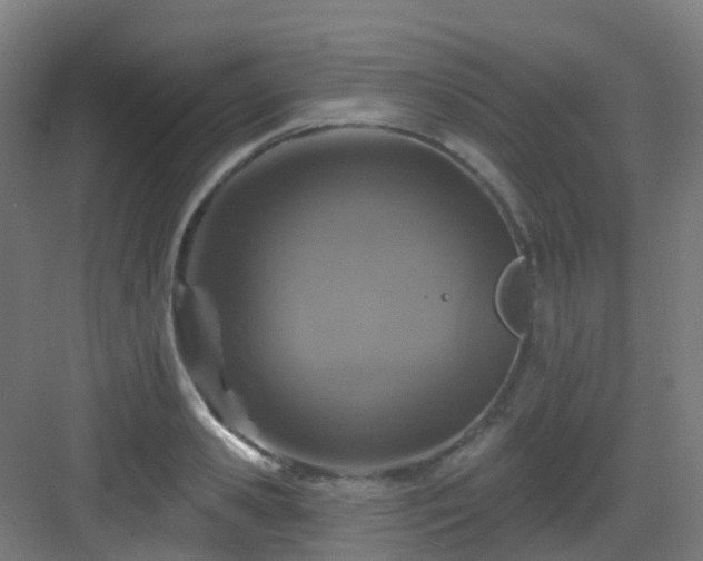 X0000082930941200702081537