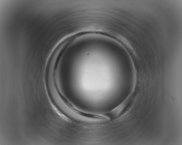 X0000082930942200702081537