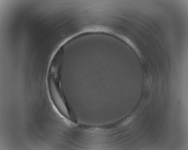 X0000082930943200702081537