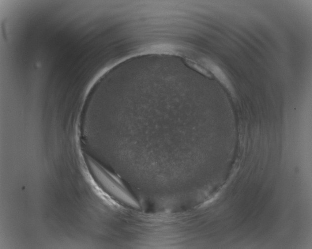 X0000082930944200702081537