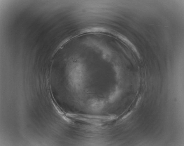 X0000082930945200702081537