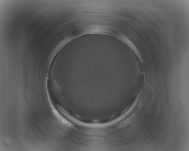 X0000082930946200702081537