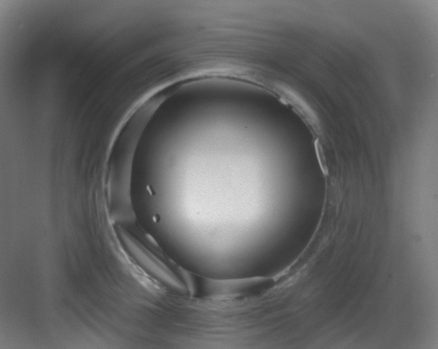 X0000082930948200702081537