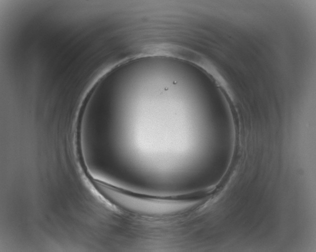 X0000082930949200702081537