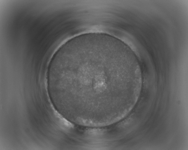 X0000082930950200702081537