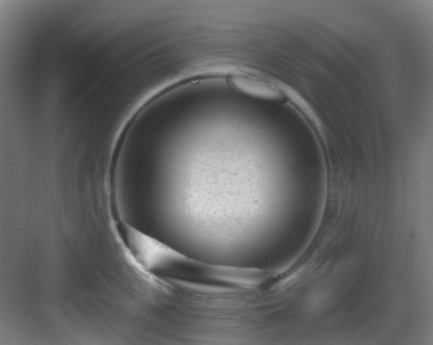 X0000082930951200702081537