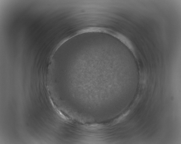 X0000082930953200702081537