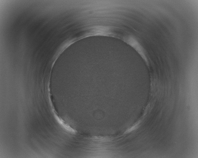 X0000082930954200702081537