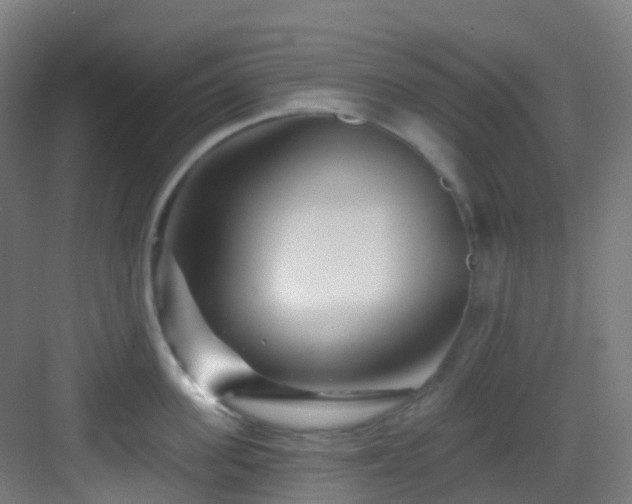 X0000082930955200702081537