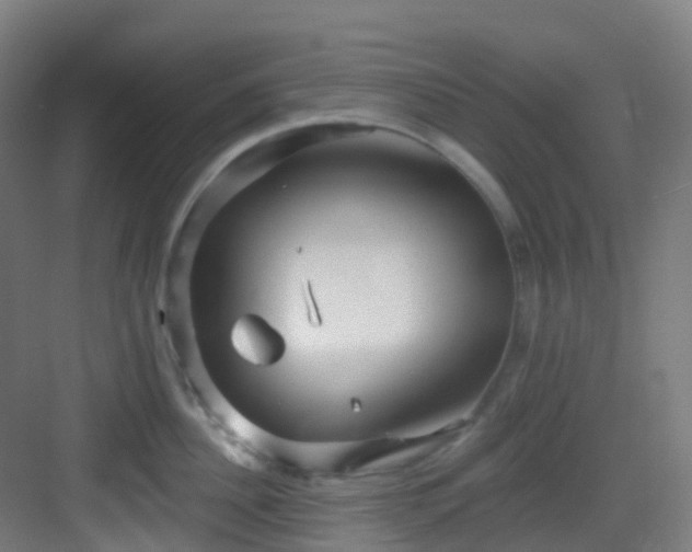 X0000082930956200702081537