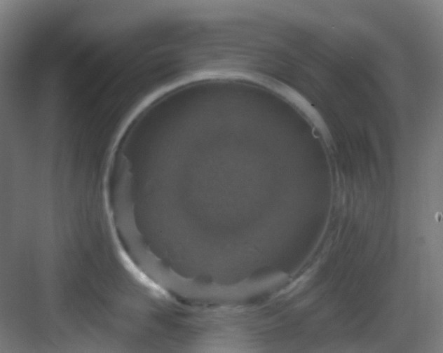 X0000082930958200702081537