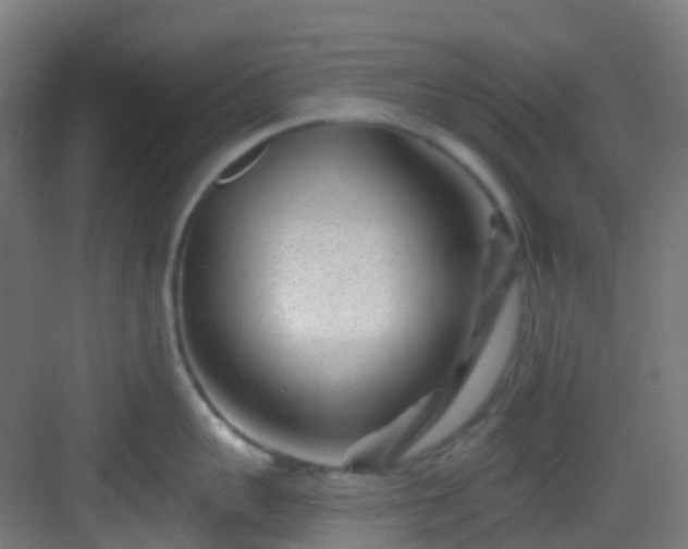 X0000082930959200702081537