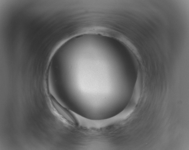 X0000082930960200702081537