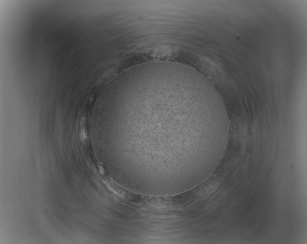 X0000082930962200702081536