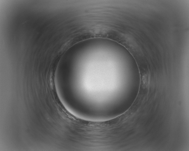 X0000082930963200702081536