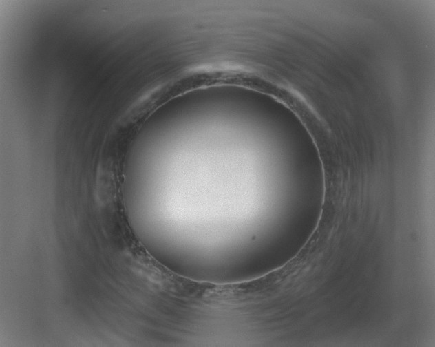 X0000082930967200702081536