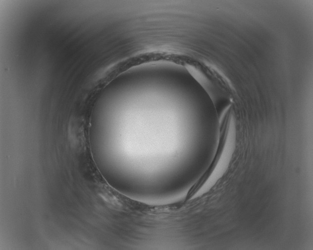 X0000082930968200702081536