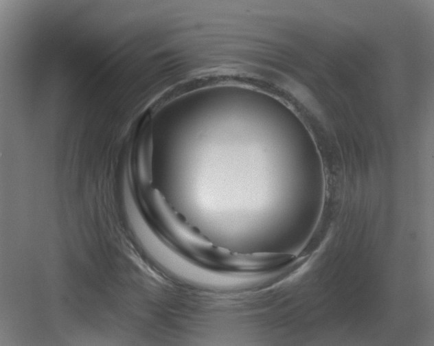 X0000082930969200702081536