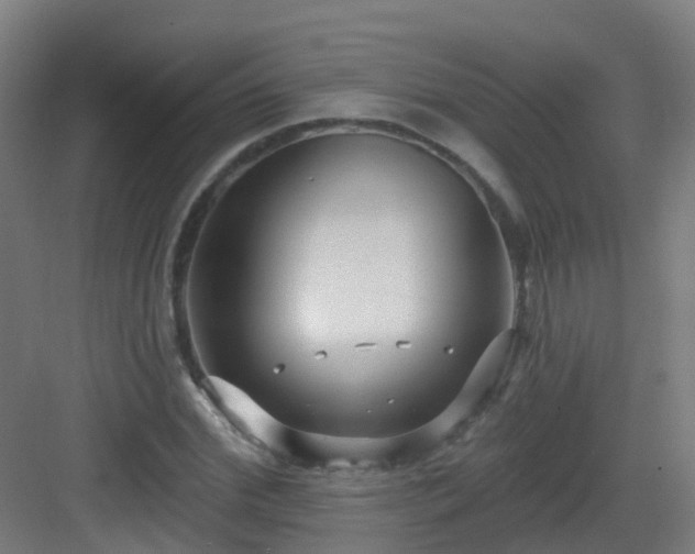 X0000082930972200702081536