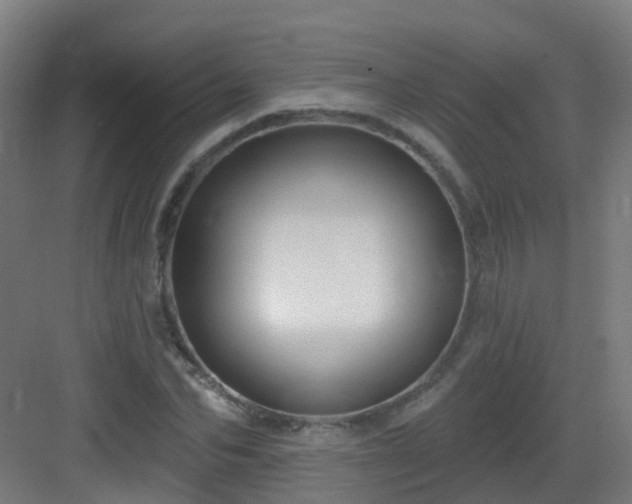 X0000082930974200702081536