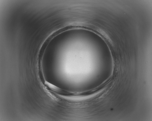 X0000082930976200702081536