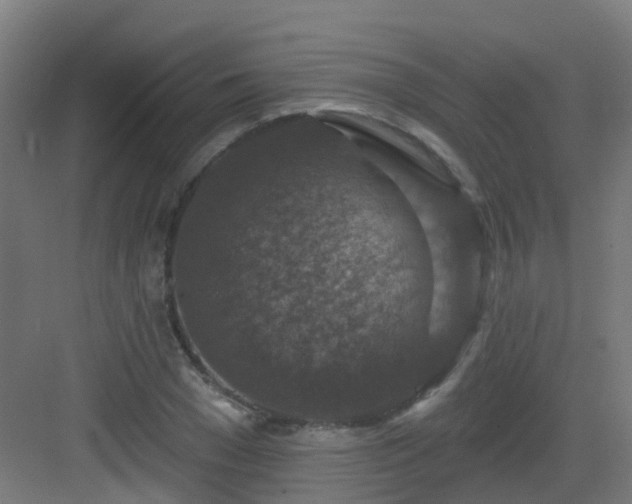 X0000082930977200702081536