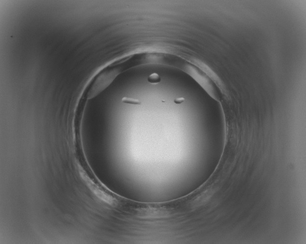 X0000082930980200702081536