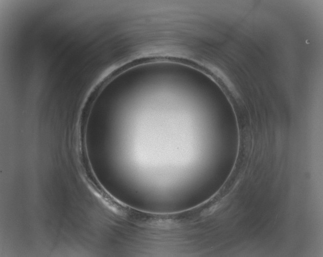 X0000082930982200702081536