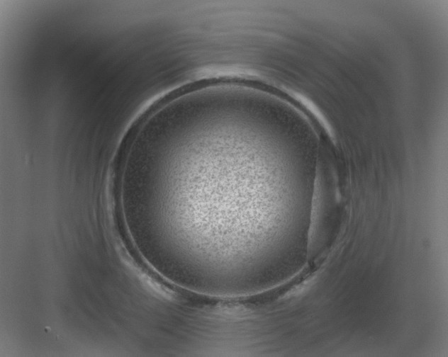 X0000082930983200702081536