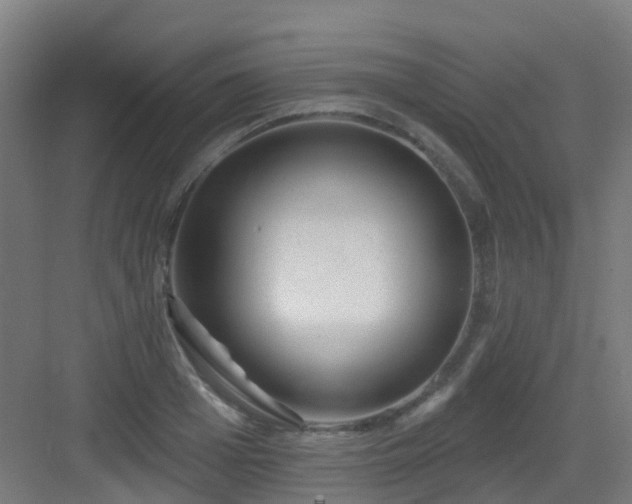 X0000082930985200702081536