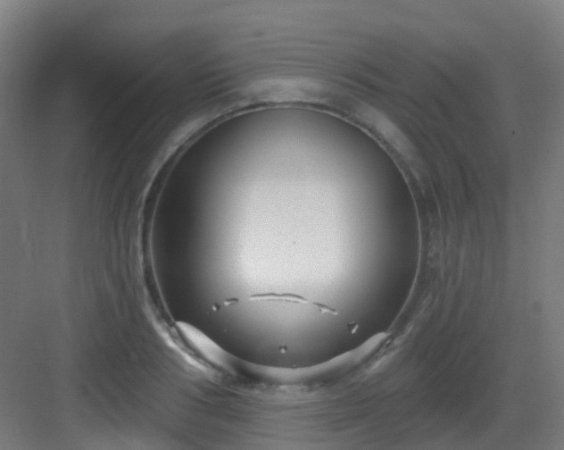 X0000082930986200702081536