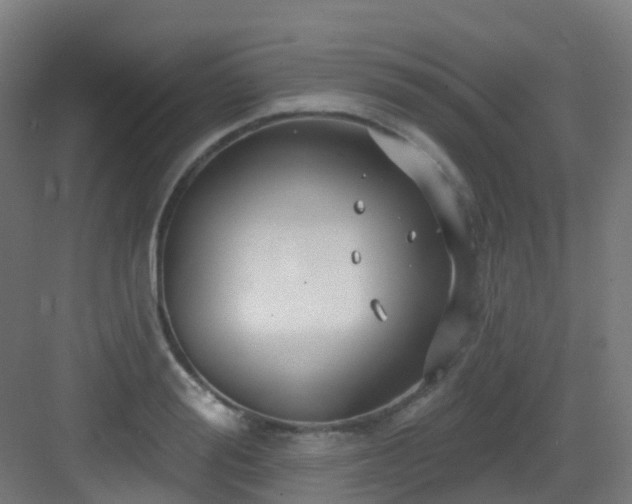 X0000082930988200702081536