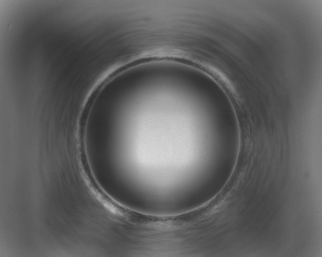 X0000082930990200702081536