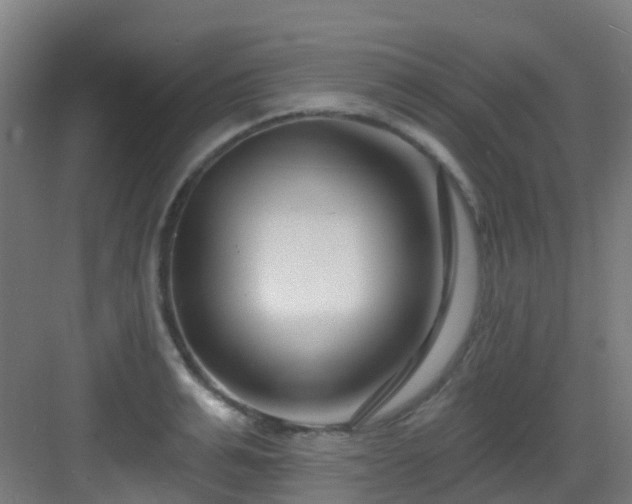 X0000082930991200702081536