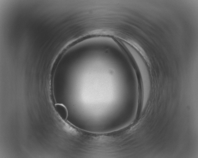 X0000082930992200702081536