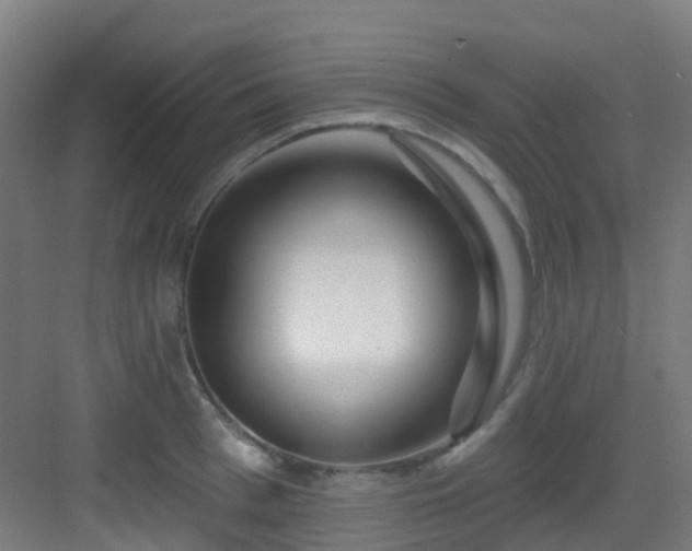 X0000082930993200702081536