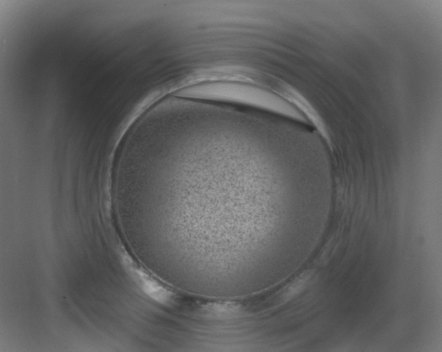 X0000082930994200702081536