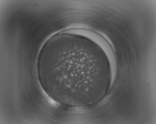 X0000082930995200702081536